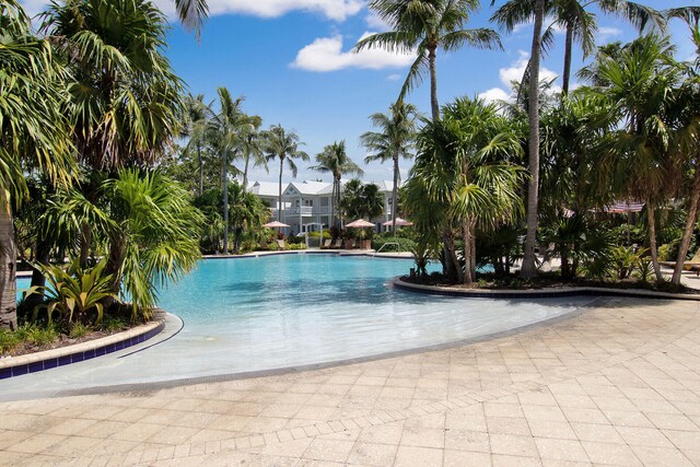 view of swimming pool