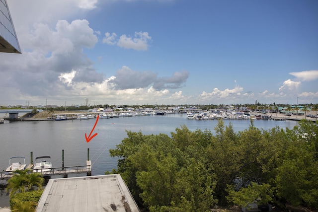 view of water feature featuring a boat dock