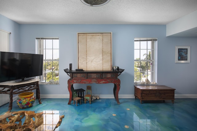 living area featuring a textured ceiling and a wealth of natural light