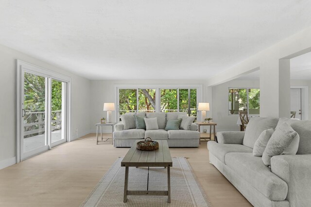 82260 Overseas Hwy, Islamorada, FL 33036 - living room with plenty of natural light, light wood-style flooring, and baseboards