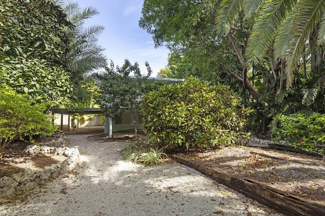 82260 Overseas Hwy, Islamorada, FL 33036 - view of yard