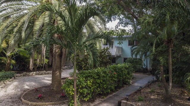 82260 Overseas Hwy, Islamorada, FL 33036 - view of yard