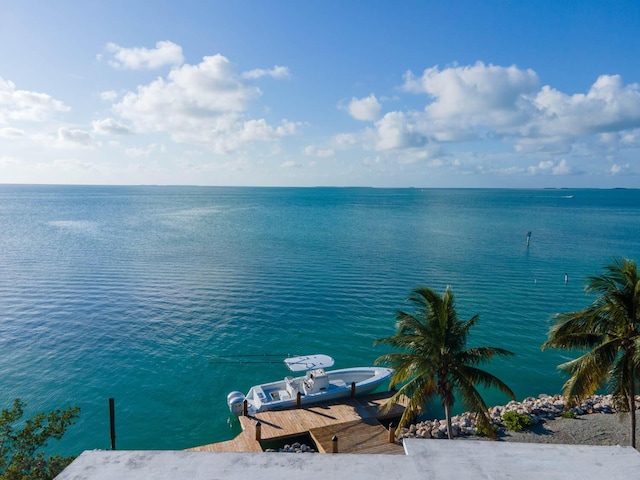 water view featuring a boat dock