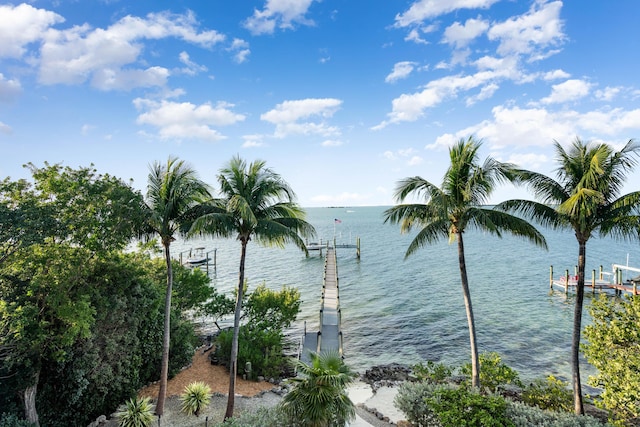 water view with a dock