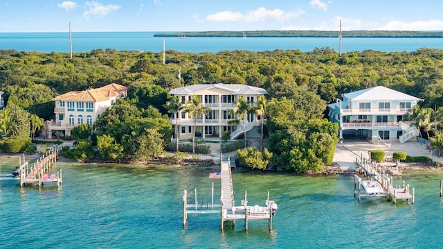 aerial view with a water view