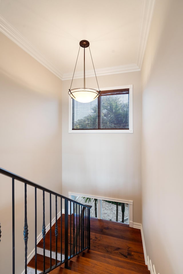 staircase featuring ornamental molding and wood-type flooring