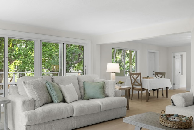 living room with a healthy amount of sunlight and light wood-type flooring