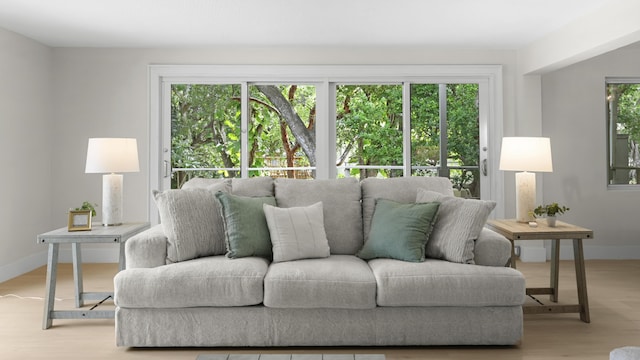 living room featuring light hardwood / wood-style flooring