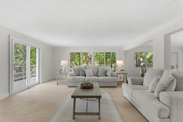 living room with a healthy amount of sunlight and light wood-type flooring