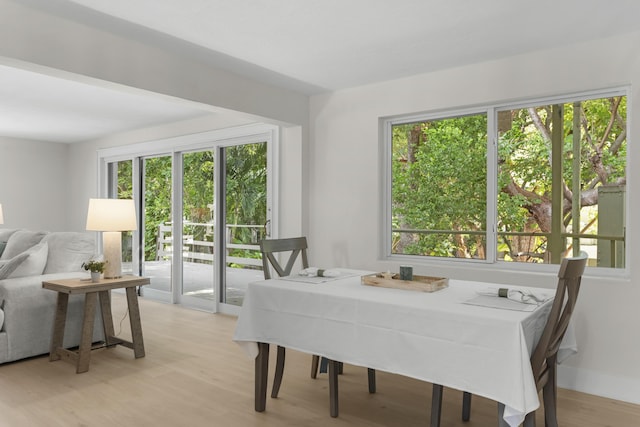 dining room with light hardwood / wood-style floors