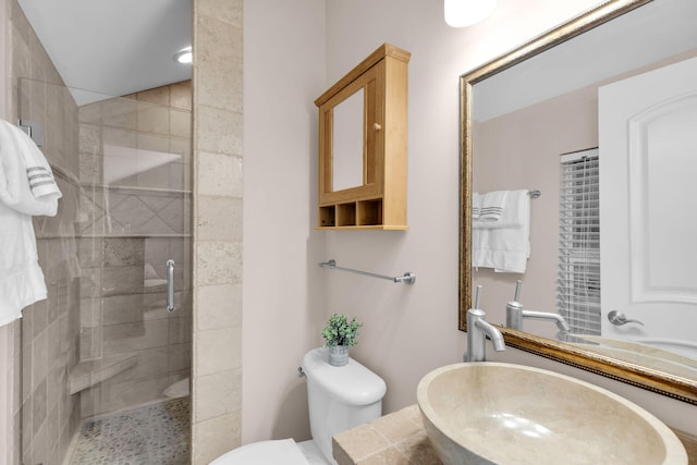 bathroom featuring a sink, a stall shower, and toilet