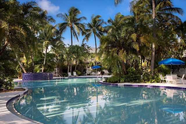 214 Golf Club Dr, Key West, FL 33040 - view of swimming pool