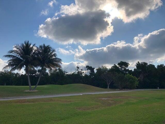 view of property's community featuring a yard