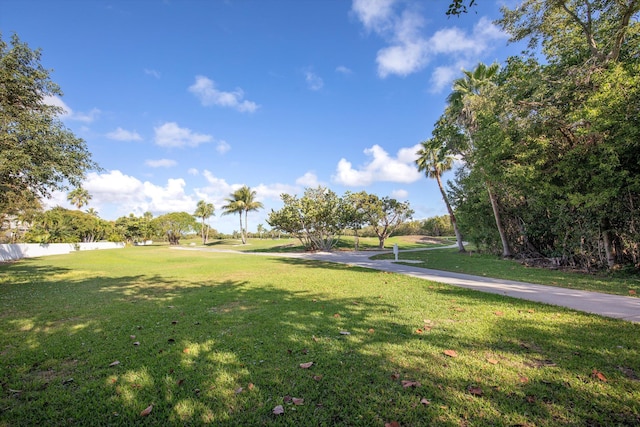 view of community with a yard