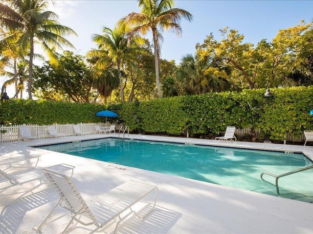 view of swimming pool featuring a patio