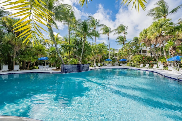 view of pool with a patio area