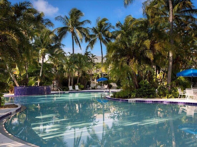 view of swimming pool