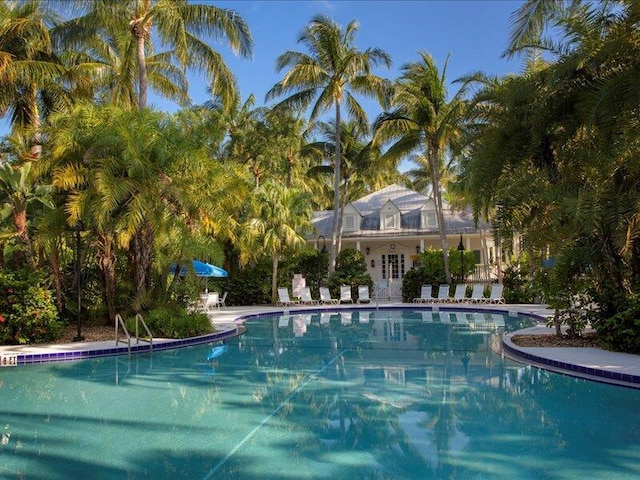 view of swimming pool