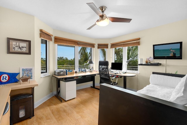 office space with light hardwood / wood-style floors and ceiling fan