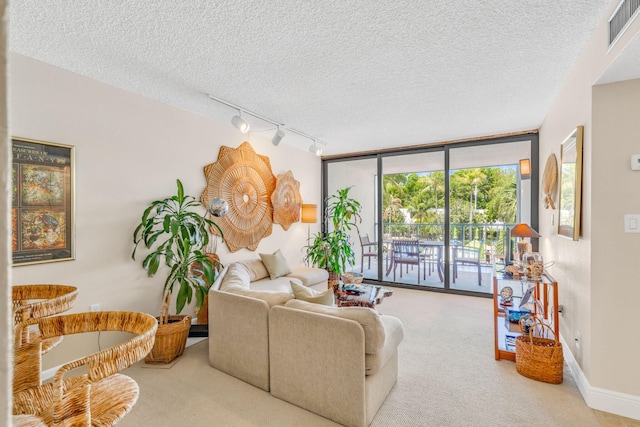 104350 Overseas Hwy Unit B203, Key Largo, FL 33037 - living room featuring track lighting, carpet flooring, and a textured ceiling