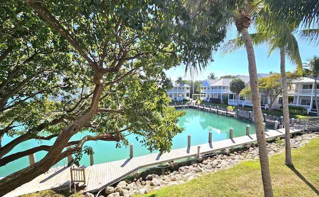 water view with a dock