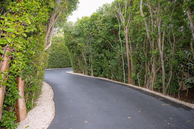 88181 Old Hwy Unit 3F, Islamorada, FL 33036 - view of road