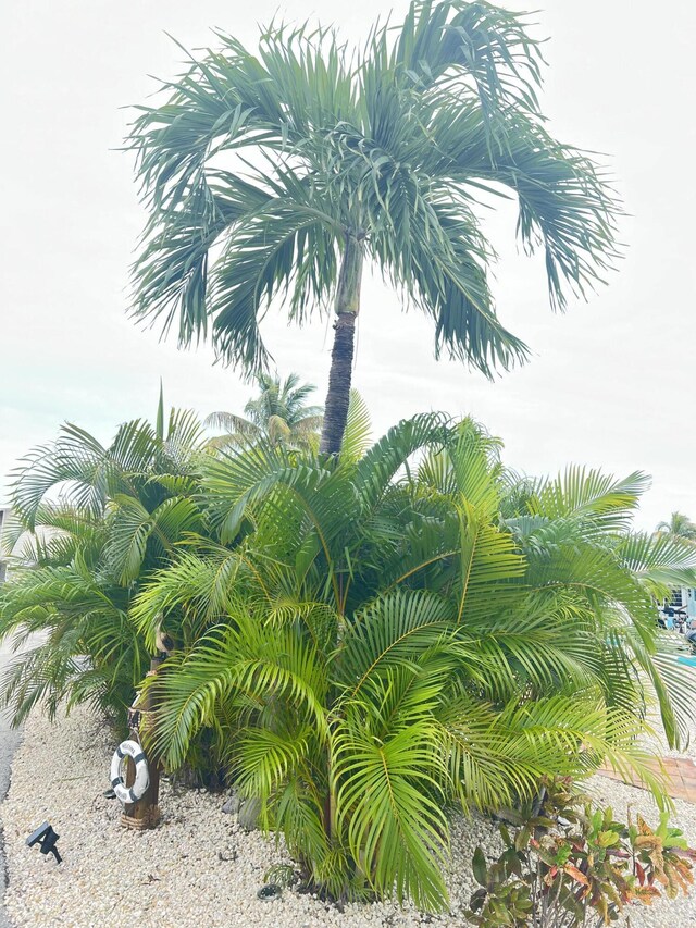 701 Spanish Main Dr Unit 240, Cudjoe, FL 33042