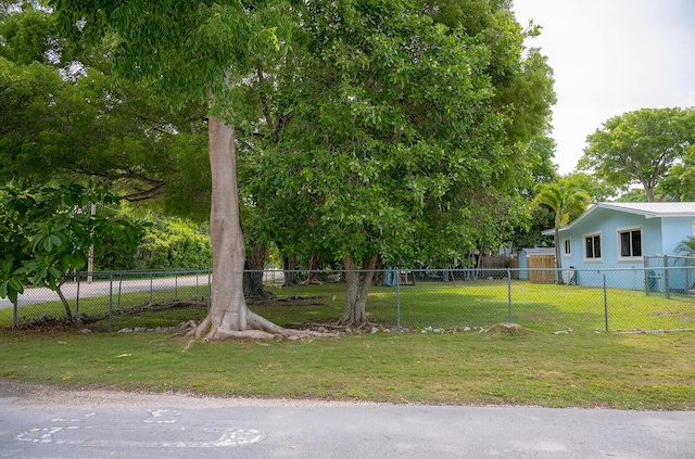 768 Musa Dr, Key Largo, FL 33037 - view of yard