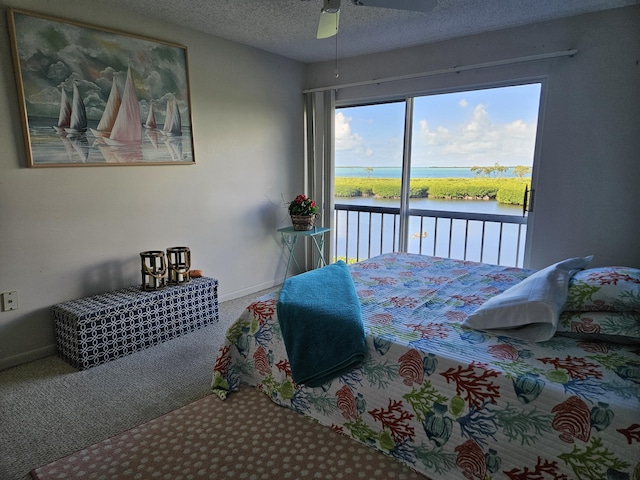 bedroom with access to exterior, carpet floors, a water view, a textured ceiling, and baseboards