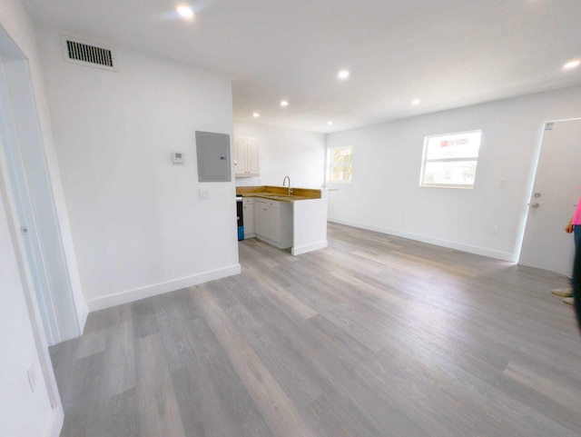 unfurnished living room with sink, electric panel, and light hardwood / wood-style floors