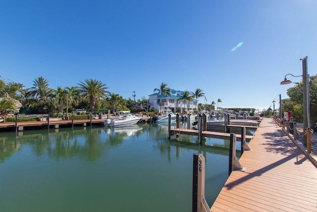 dock area with a water view