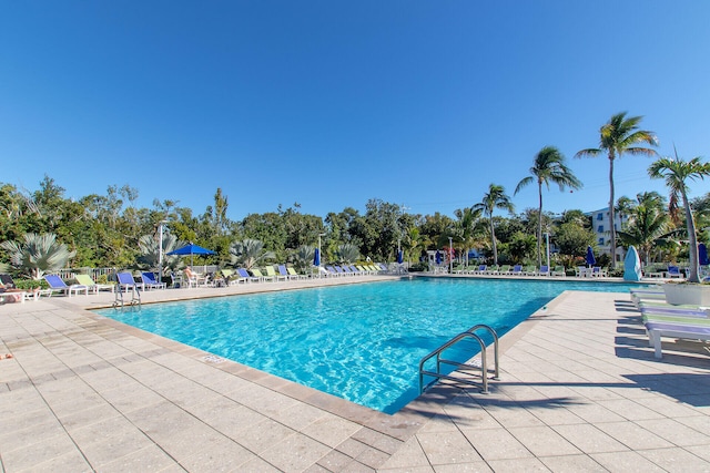 view of pool featuring a patio area