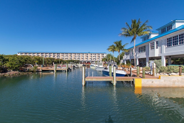 dock area with a water view