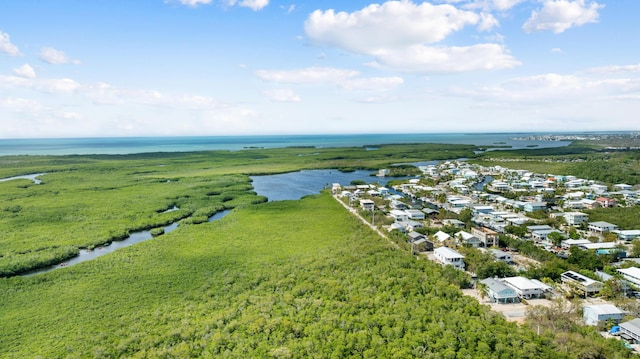 bird's eye view of a large body of water