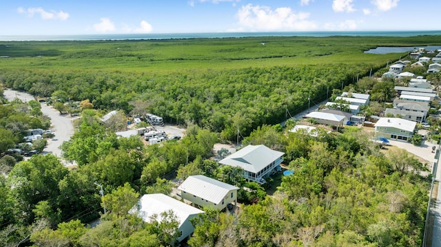 aerial view of residential area featuring a forest and a large body of water