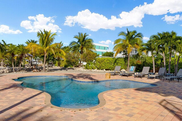 view of swimming pool with a patio area