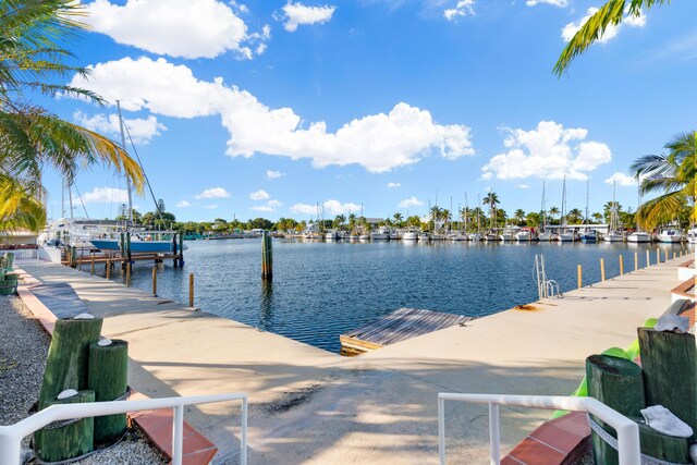 dock area with a water view