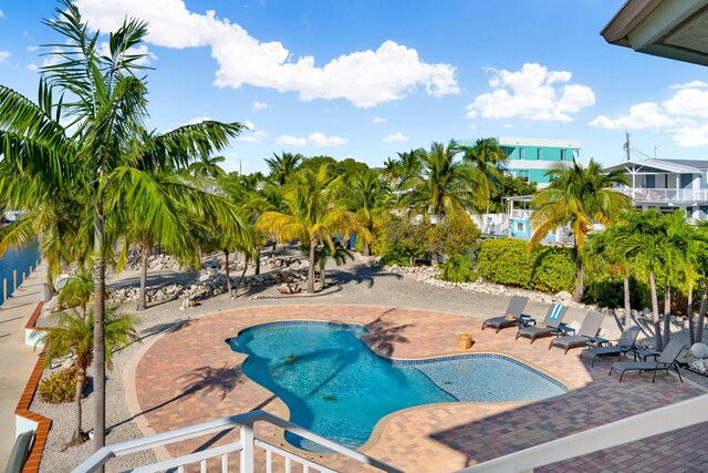 view of swimming pool with a patio