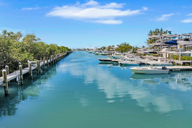 dock area with a water view