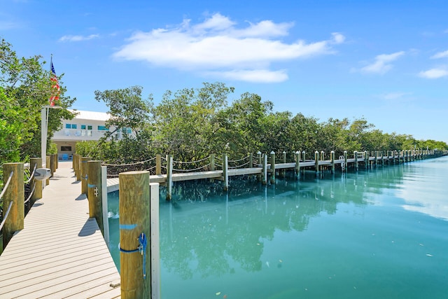 dock area with a water view