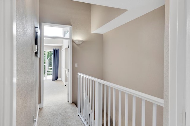 hall featuring light colored carpet