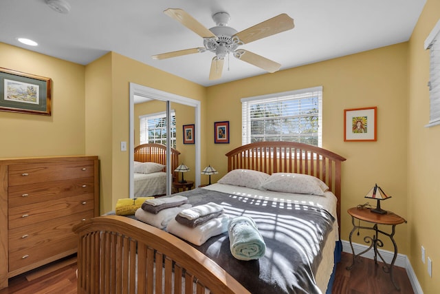 bedroom with multiple windows, ceiling fan, dark hardwood / wood-style flooring, and a closet