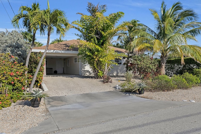 view of property hidden behind natural elements with a garage