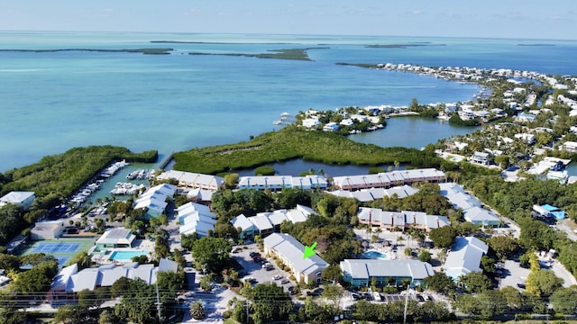 drone / aerial view with a water view