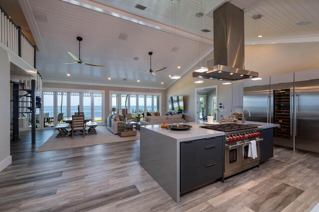 kitchen with light hardwood / wood-style flooring, premium appliances, a large island with sink, ornamental molding, and island exhaust hood