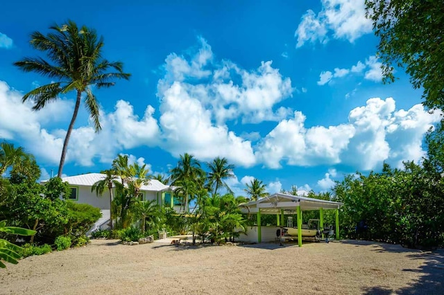 view of yard with a carport