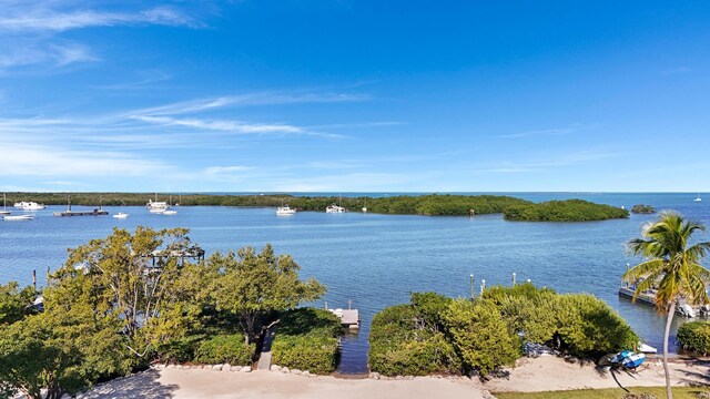 192 Harborview Dr, Tavernier, FL 33070 - photo 8