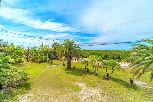 29849 Newfound Blvd, Big Pine, FL 33043 - photo 20