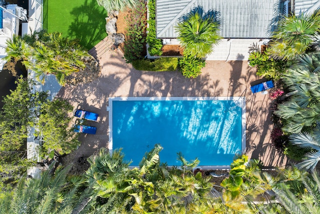 3300 Riviera Dr, Key West, FL 33040 - drone / aerial view of a pool area