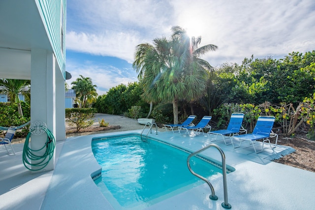 view of pool with a patio area